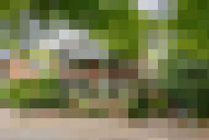 Wüstelaan 35 Santpoort-Zuid thumbnail 106