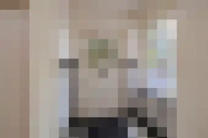 Wüstelaan 35 Santpoort-Zuid thumbnail 12
