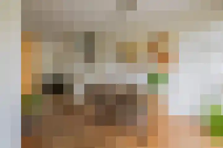 Wüstelaan 35 Santpoort-Zuid thumbnail 23