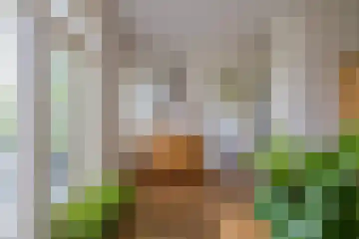 Wüstelaan 35 Santpoort-Zuid thumbnail 24