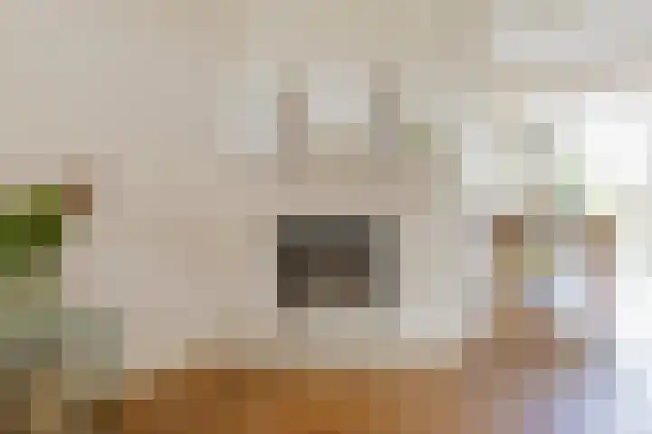 Wüstelaan 35 Santpoort-Zuid thumbnail 34