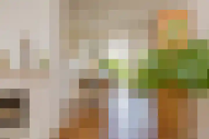 Wüstelaan 35 Santpoort-Zuid thumbnail 35