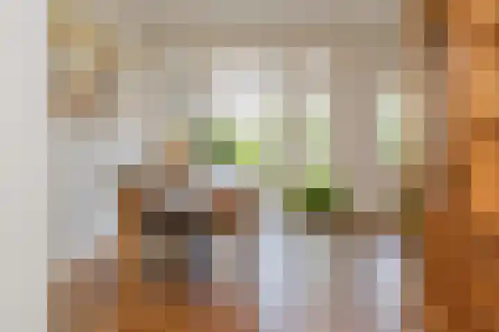 Wüstelaan 35 Santpoort-Zuid thumbnail 36