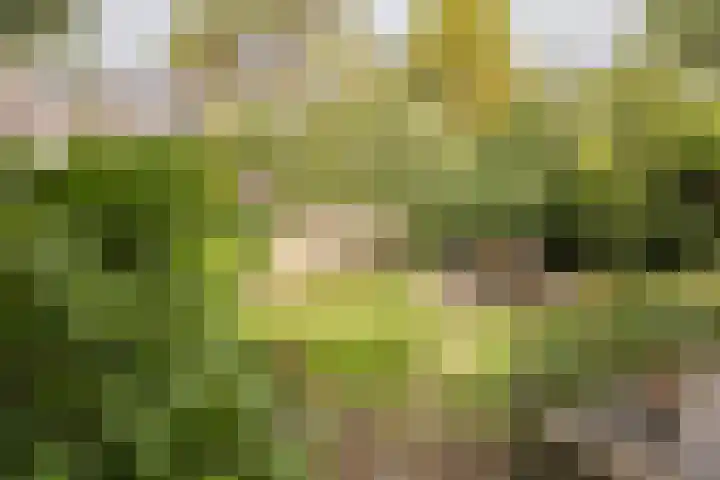 Wüstelaan 35 Santpoort-Zuid thumbnail 37