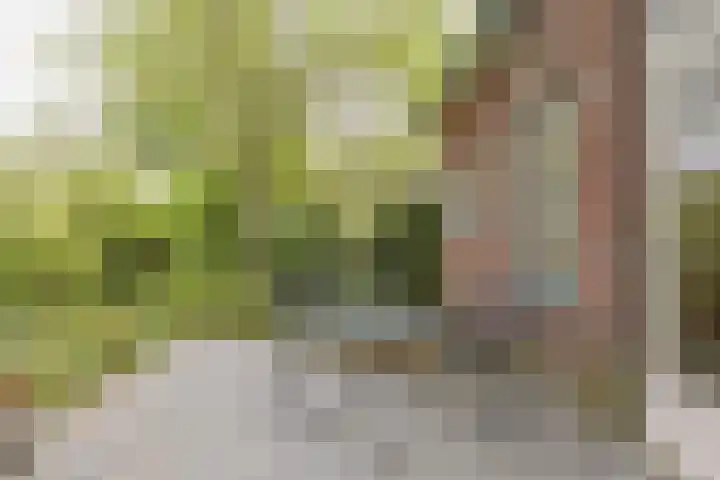 Wüstelaan 35 Santpoort-Zuid thumbnail 40