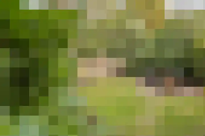 Wüstelaan 35 Santpoort-Zuid thumbnail 41