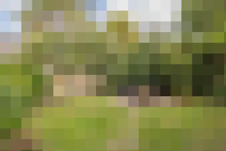 Wüstelaan 35 Santpoort-Zuid thumbnail 42