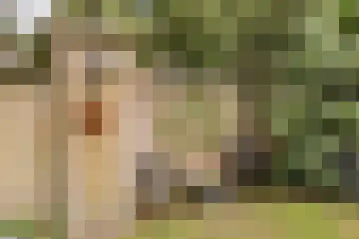 Wüstelaan 35 Santpoort-Zuid thumbnail 43