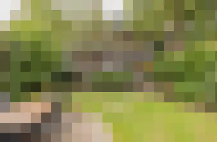 Wüstelaan 35 Santpoort-Zuid thumbnail 44