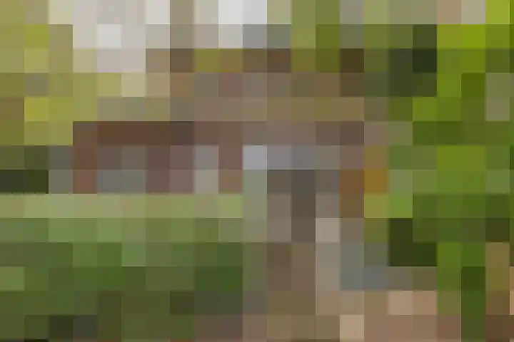 Wüstelaan 35 Santpoort-Zuid thumbnail 47
