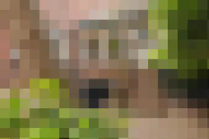 Wüstelaan 35 Santpoort-Zuid thumbnail 5