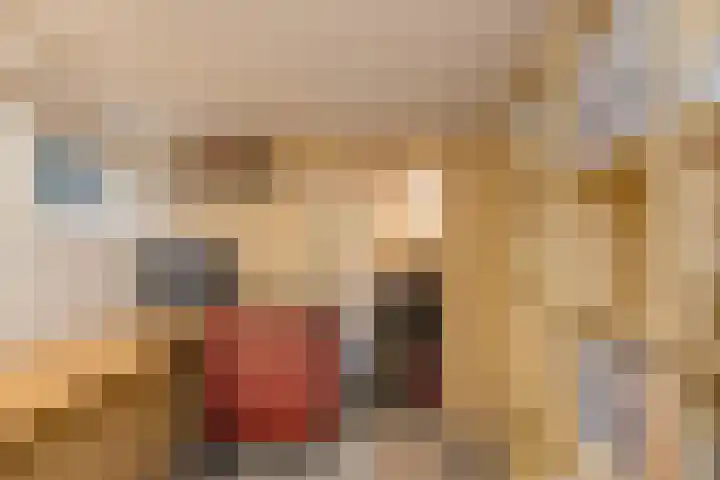 Wüstelaan 35 Santpoort-Zuid thumbnail 54