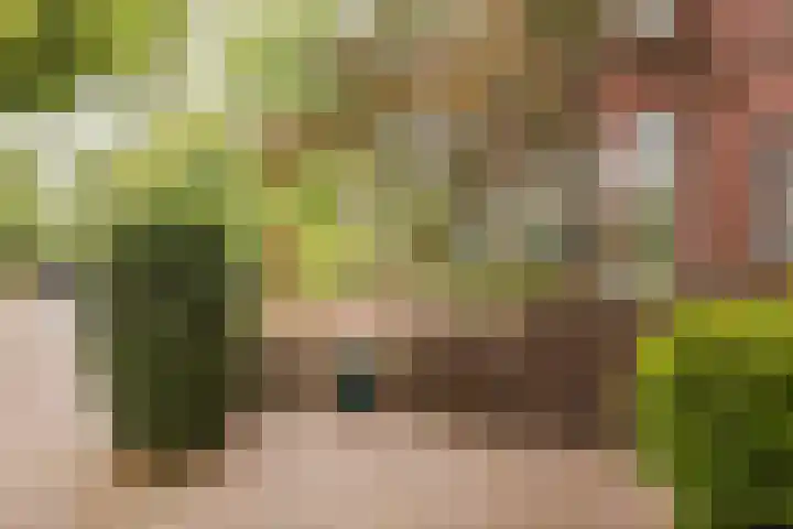 Wüstelaan 35 Santpoort-Zuid thumbnail 6