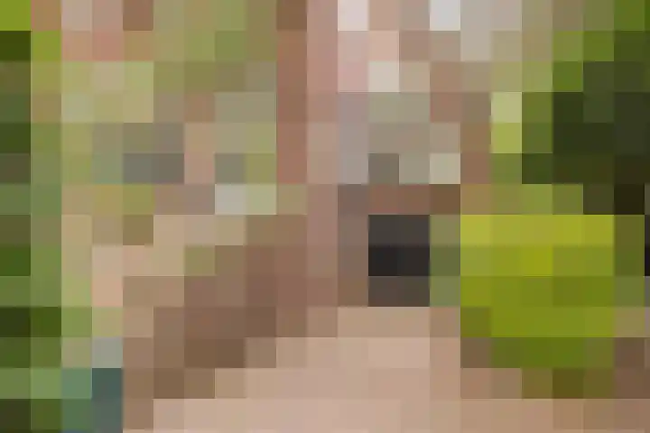 Wüstelaan 35 Santpoort-Zuid thumbnail 7