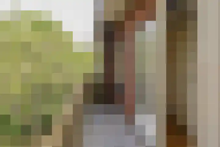 Wüstelaan 35 Santpoort-Zuid thumbnail 72