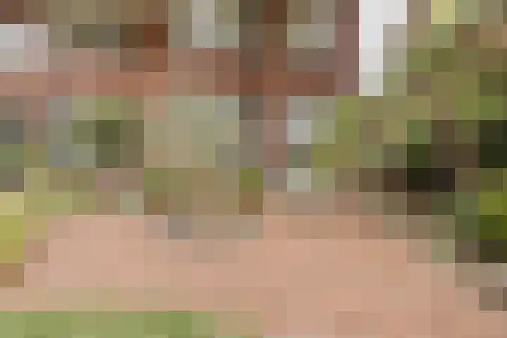 Wüstelaan 35 Santpoort-Zuid thumbnail 8