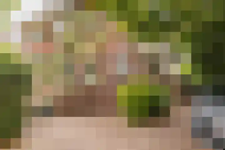 Wüstelaan 35 Santpoort-Zuid thumbnail 9