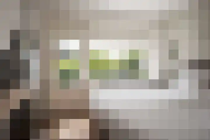 Wüstelaan 46 Santpoort-Zuid thumbnail 14