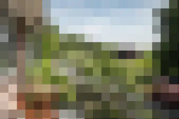 Wüstelaan 46 Santpoort-Zuid thumbnail 15