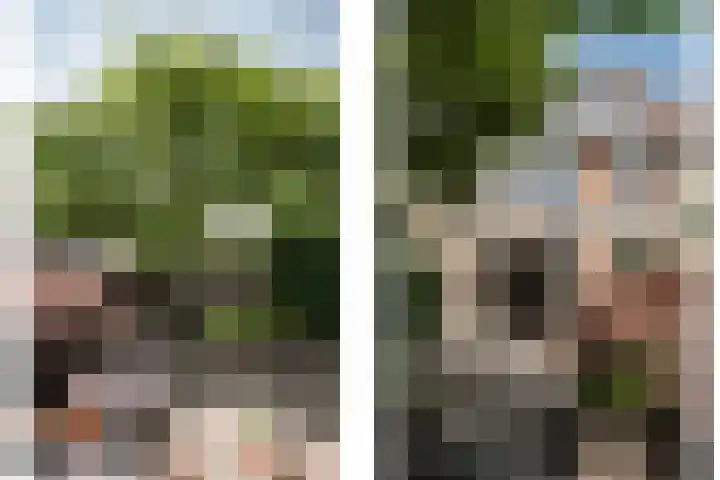 Wüstelaan 46 Santpoort-Zuid thumbnail 30