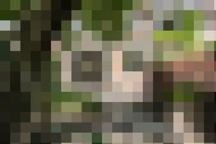 Wüstelaan 46 Santpoort-Zuid thumbnail 31