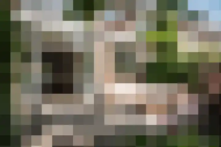 Wüstelaan 46 Santpoort-Zuid thumbnail 33