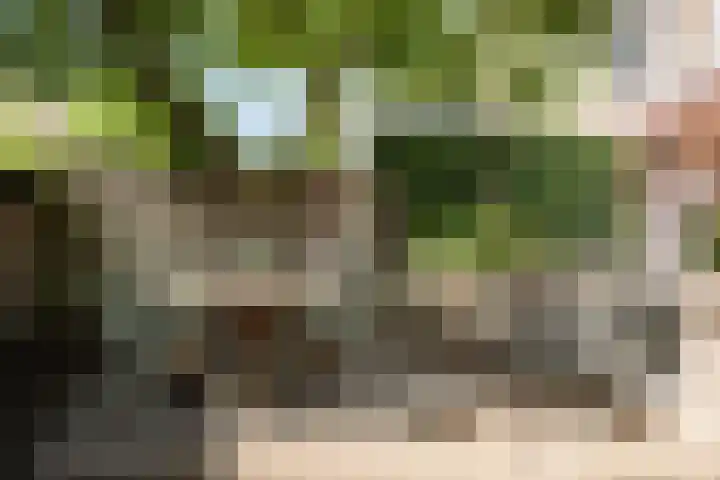 Wüstelaan 46 Santpoort-Zuid thumbnail 34