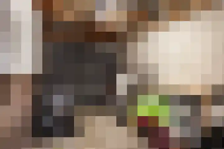 Wüstelaan 46 Santpoort-Zuid thumbnail 37