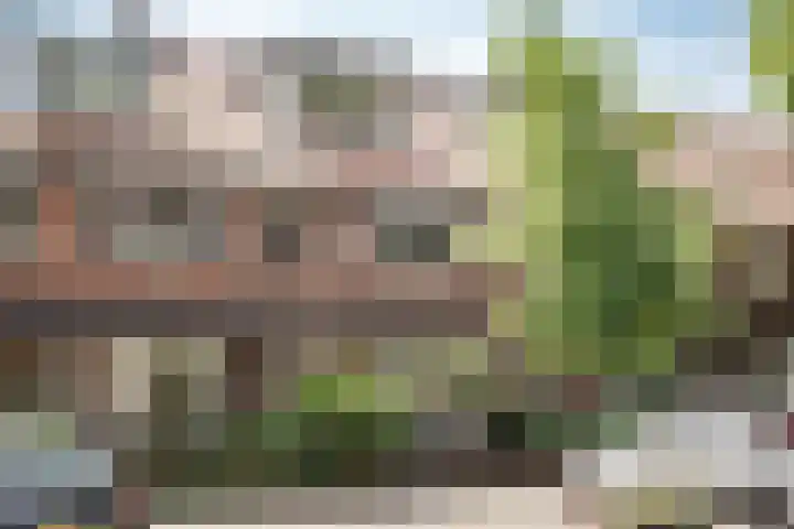 Wüstelaan 46 Santpoort-Zuid thumbnail 39