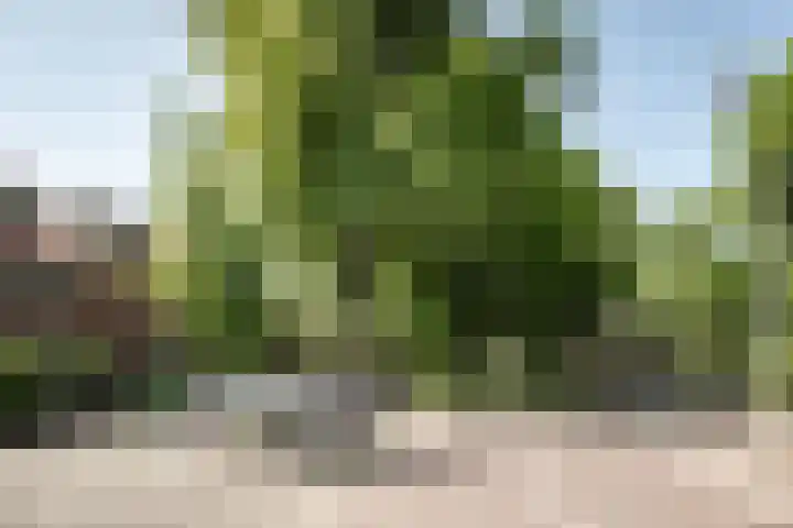 Wüstelaan 46 Santpoort-Zuid thumbnail 41