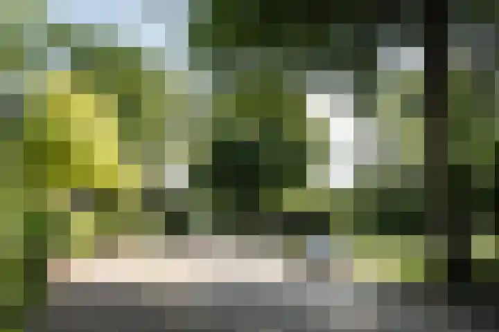 Wüstelaan 46 Santpoort-Zuid thumbnail 42