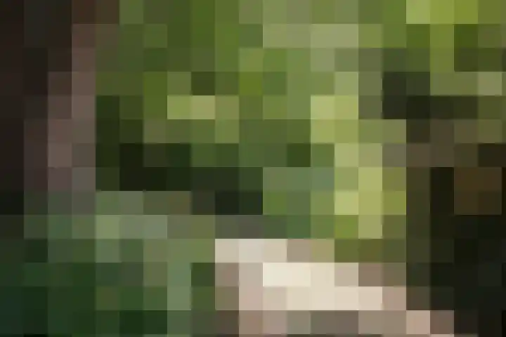 Wüstelaan 46 Santpoort-Zuid thumbnail 43