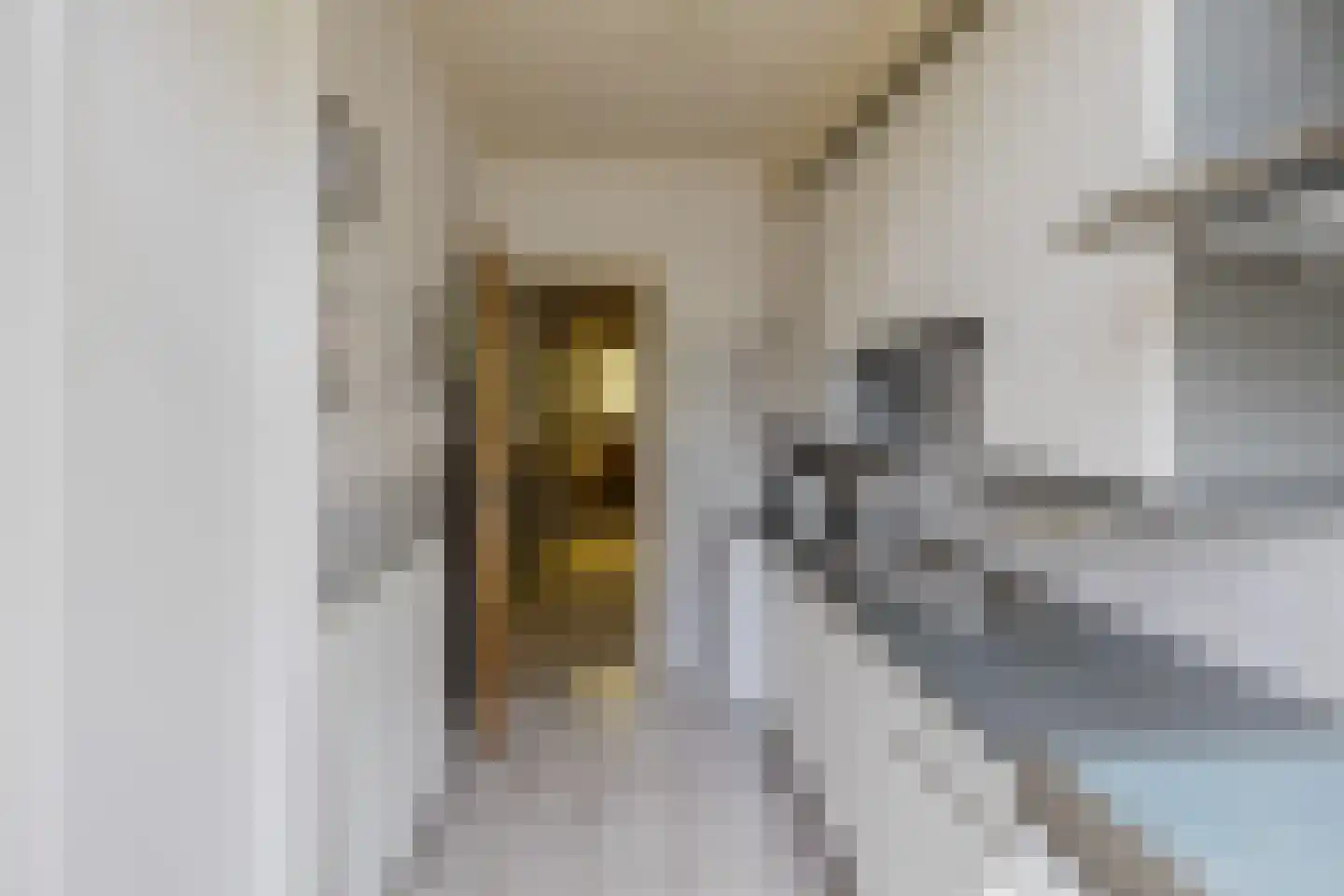 Wüstelaan 50 Santpoort-Zuid thumbnail 17
