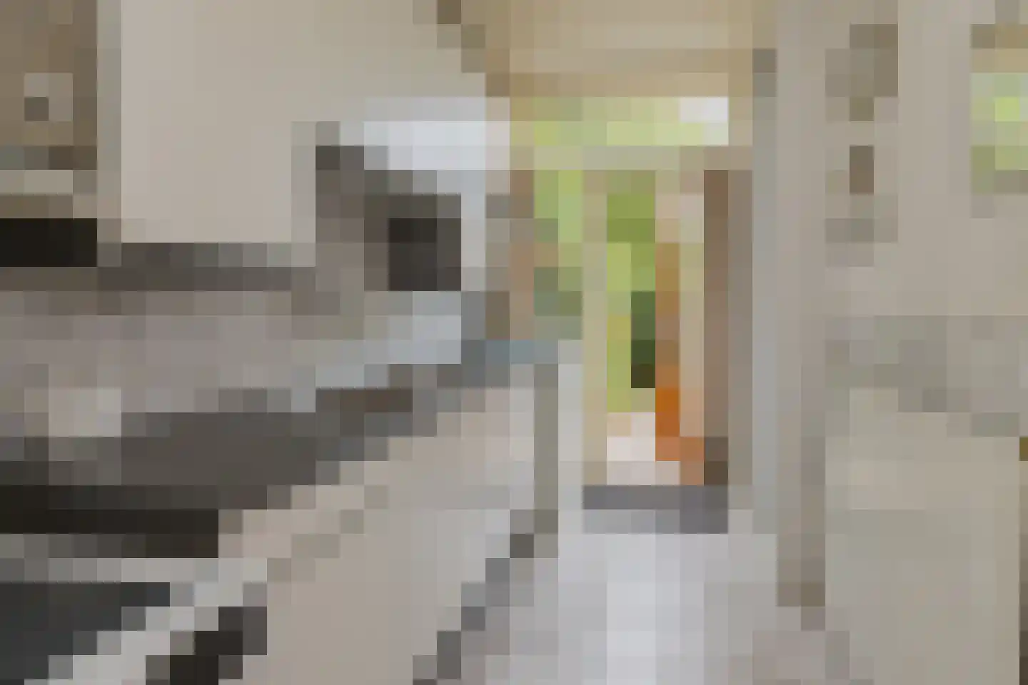 Wüstelaan 50 Santpoort-Zuid thumbnail 18