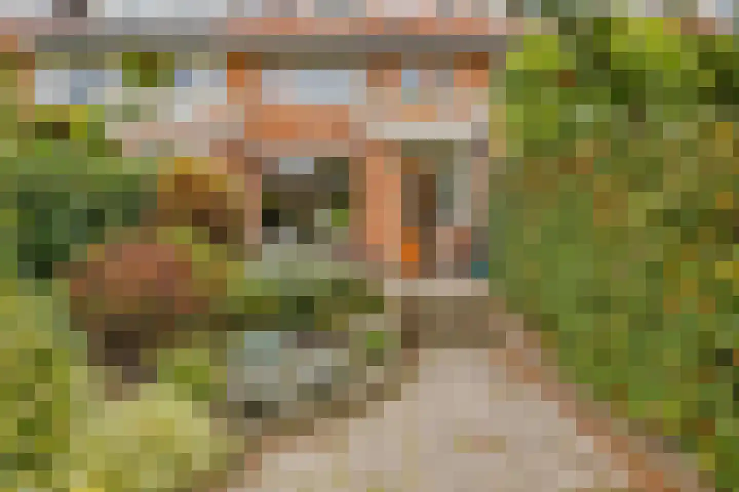 Wüstelaan 50 Santpoort-Zuid thumbnail 19