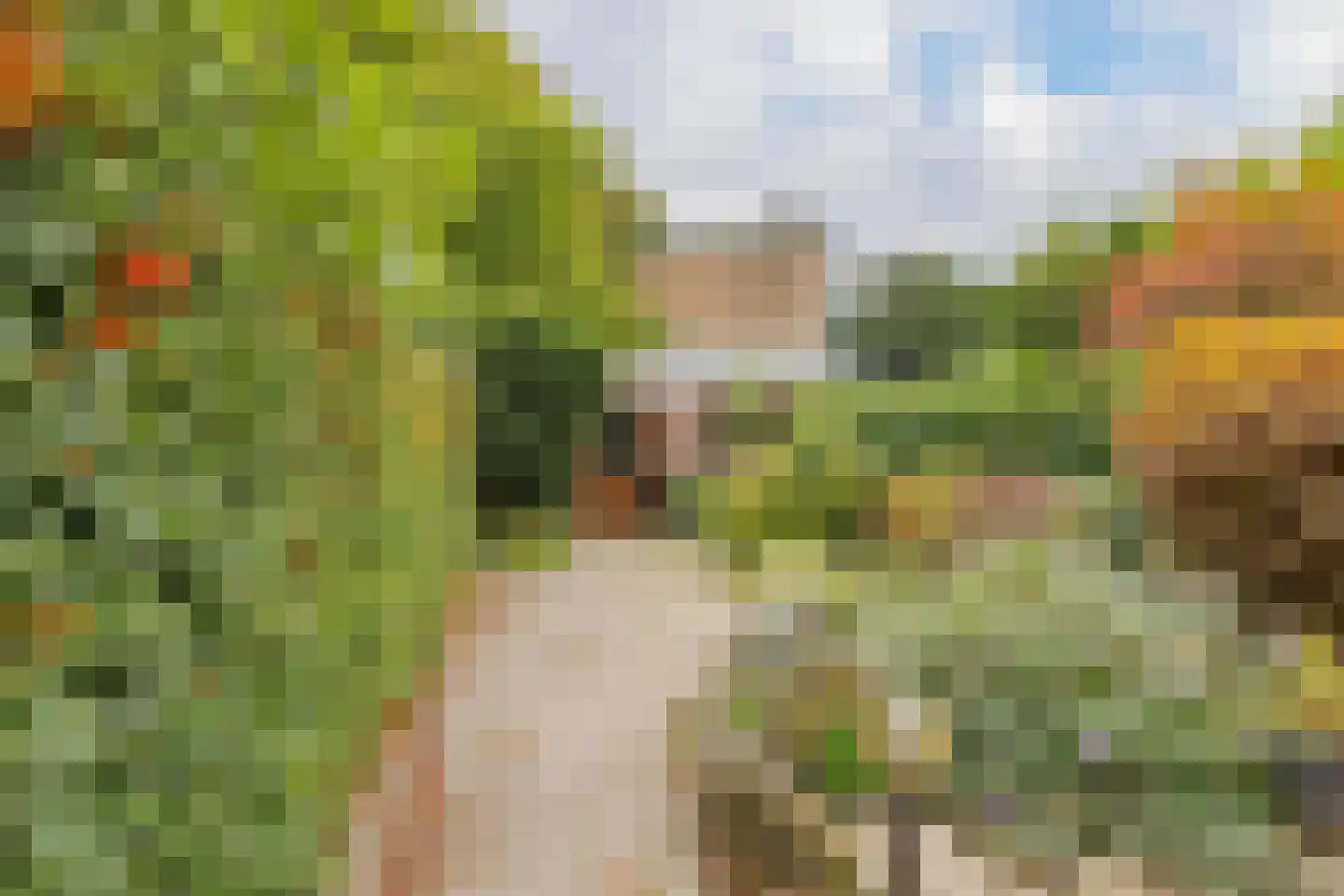Wüstelaan 50 Santpoort-Zuid thumbnail 20