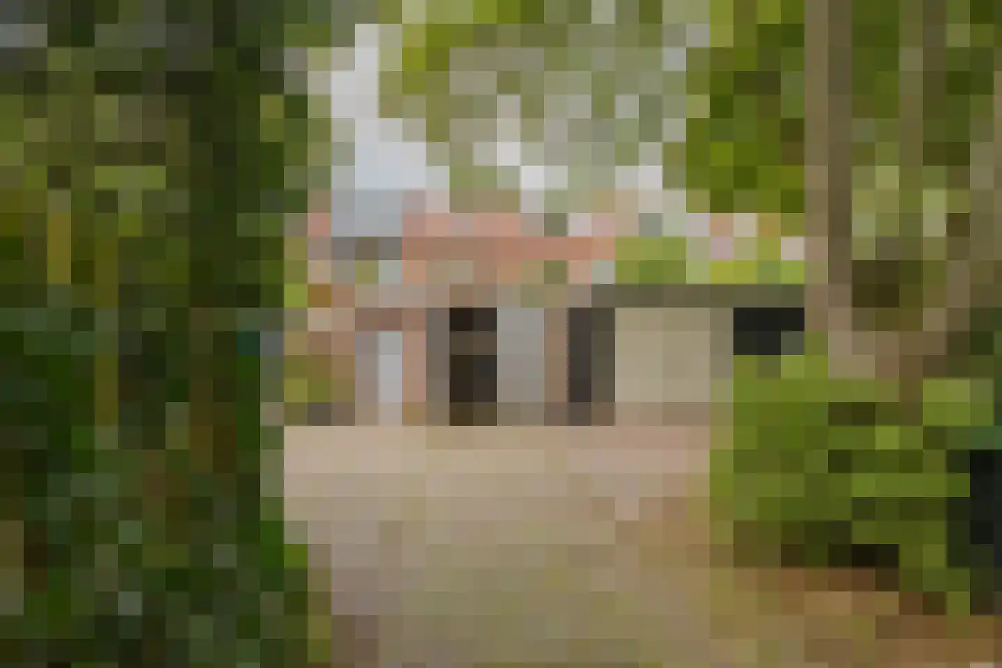 Wüstelaan 50 Santpoort-Zuid thumbnail 21
