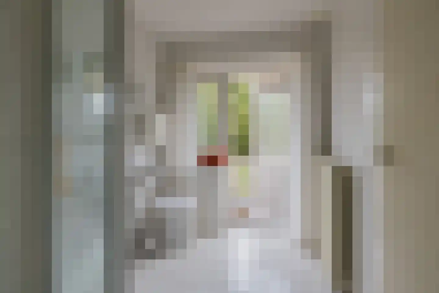 Wüstelaan 50 Santpoort-Zuid thumbnail 35
