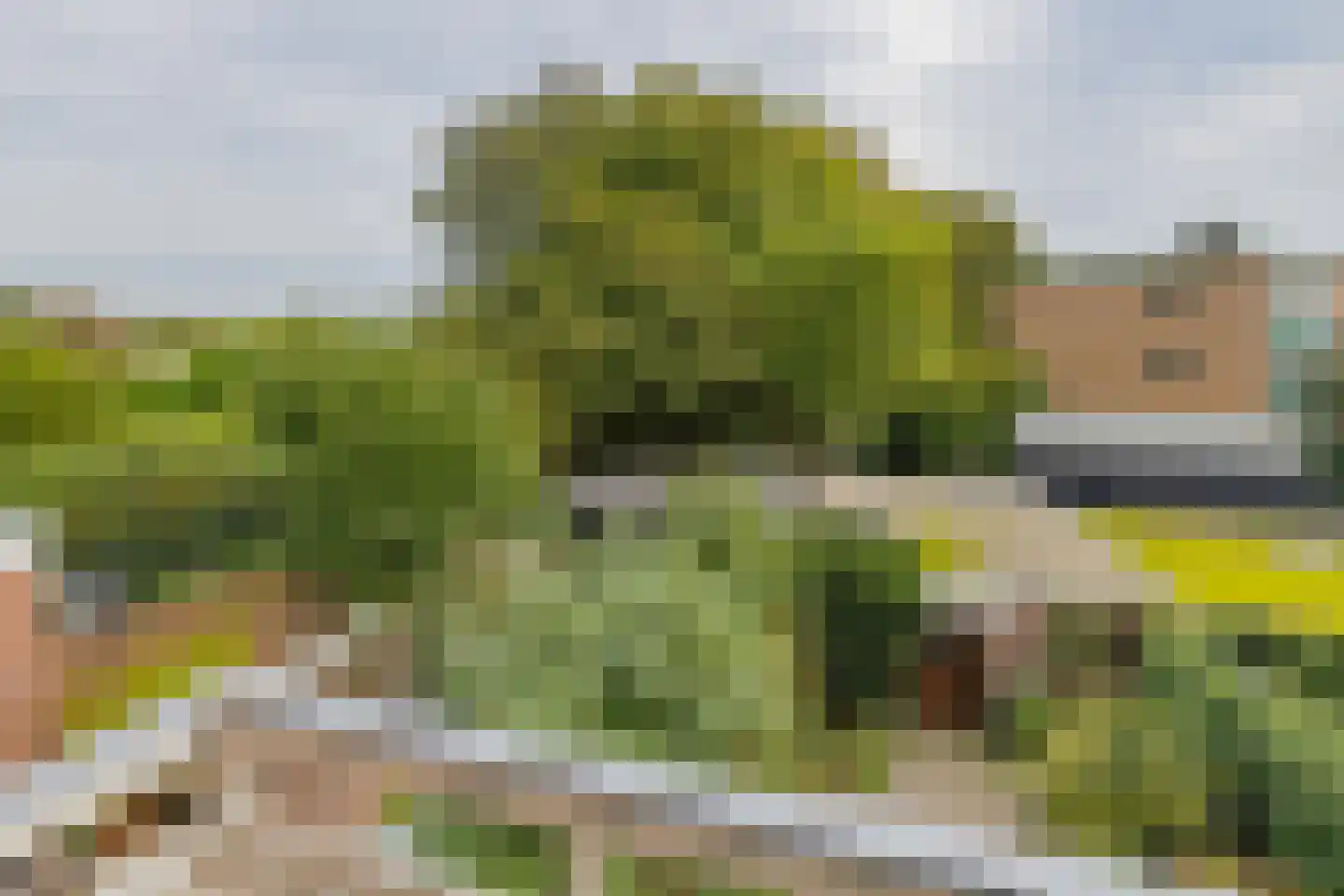 Wüstelaan 50 Santpoort-Zuid thumbnail 37