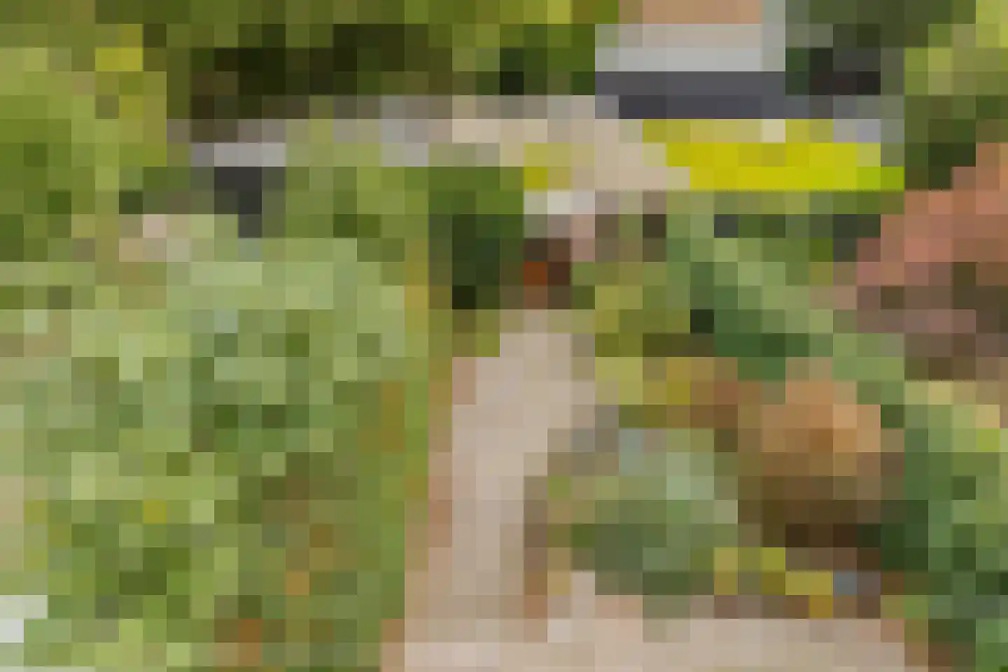 Wüstelaan 50 Santpoort-Zuid thumbnail 38