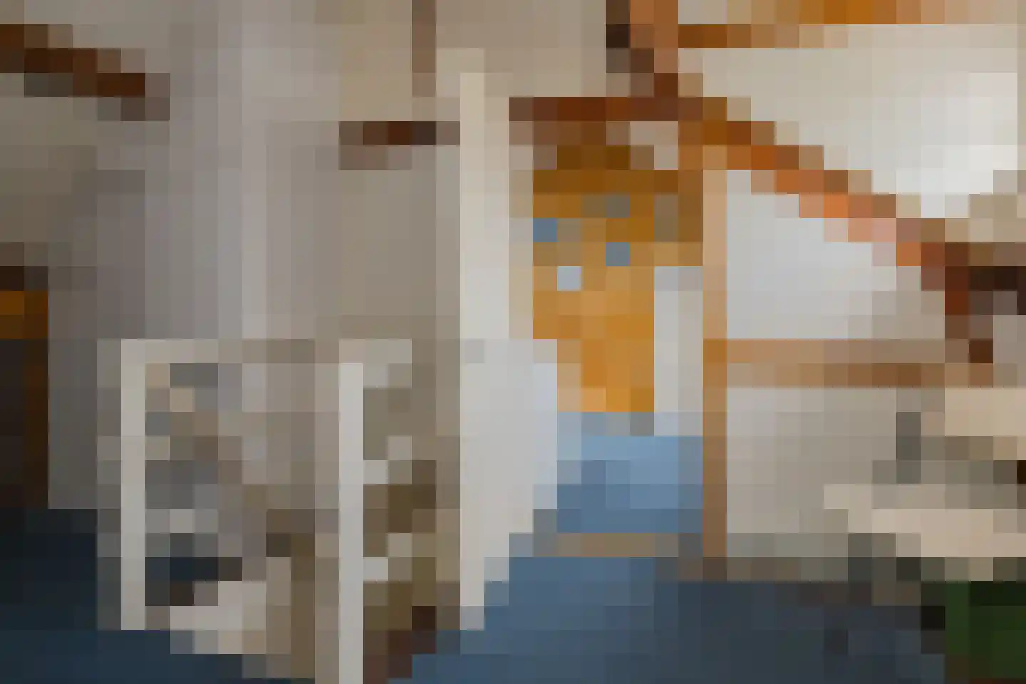 Wüstelaan 50 Santpoort-Zuid thumbnail 40
