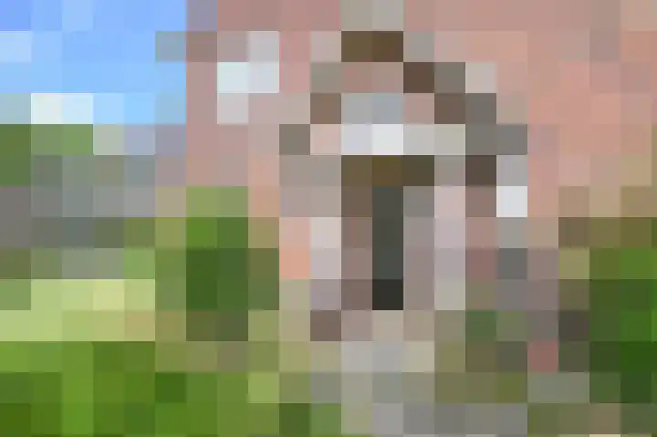 Wüstelaan 51 Santpoort-Zuid thumbnail 33