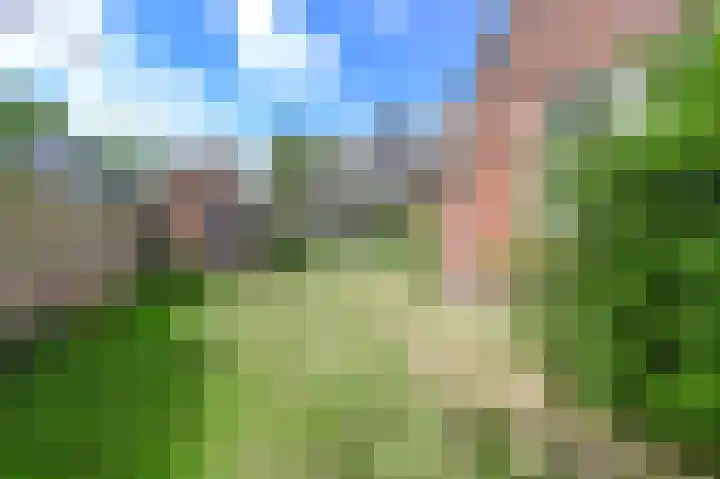 Wüstelaan 51 Santpoort-Zuid thumbnail 34