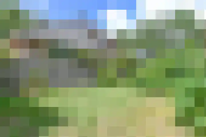 Wüstelaan 51 Santpoort-Zuid thumbnail 35