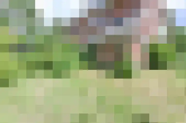 Wüstelaan 51 Santpoort-Zuid thumbnail 36