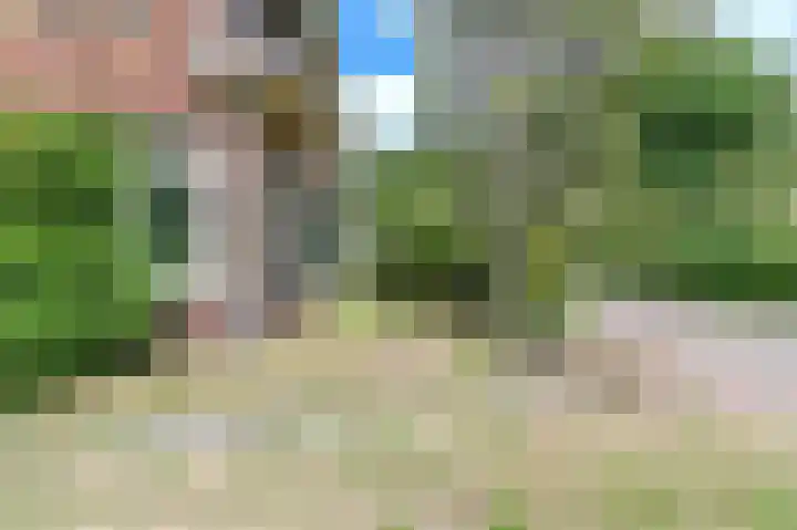 Wüstelaan 51 Santpoort-Zuid thumbnail 38