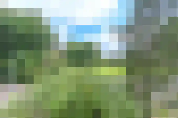 Wüstelaan 51 Santpoort-Zuid thumbnail 4
