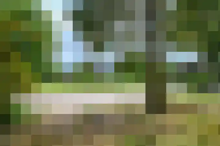 Wüstelaan 51 Santpoort-Zuid thumbnail 43
