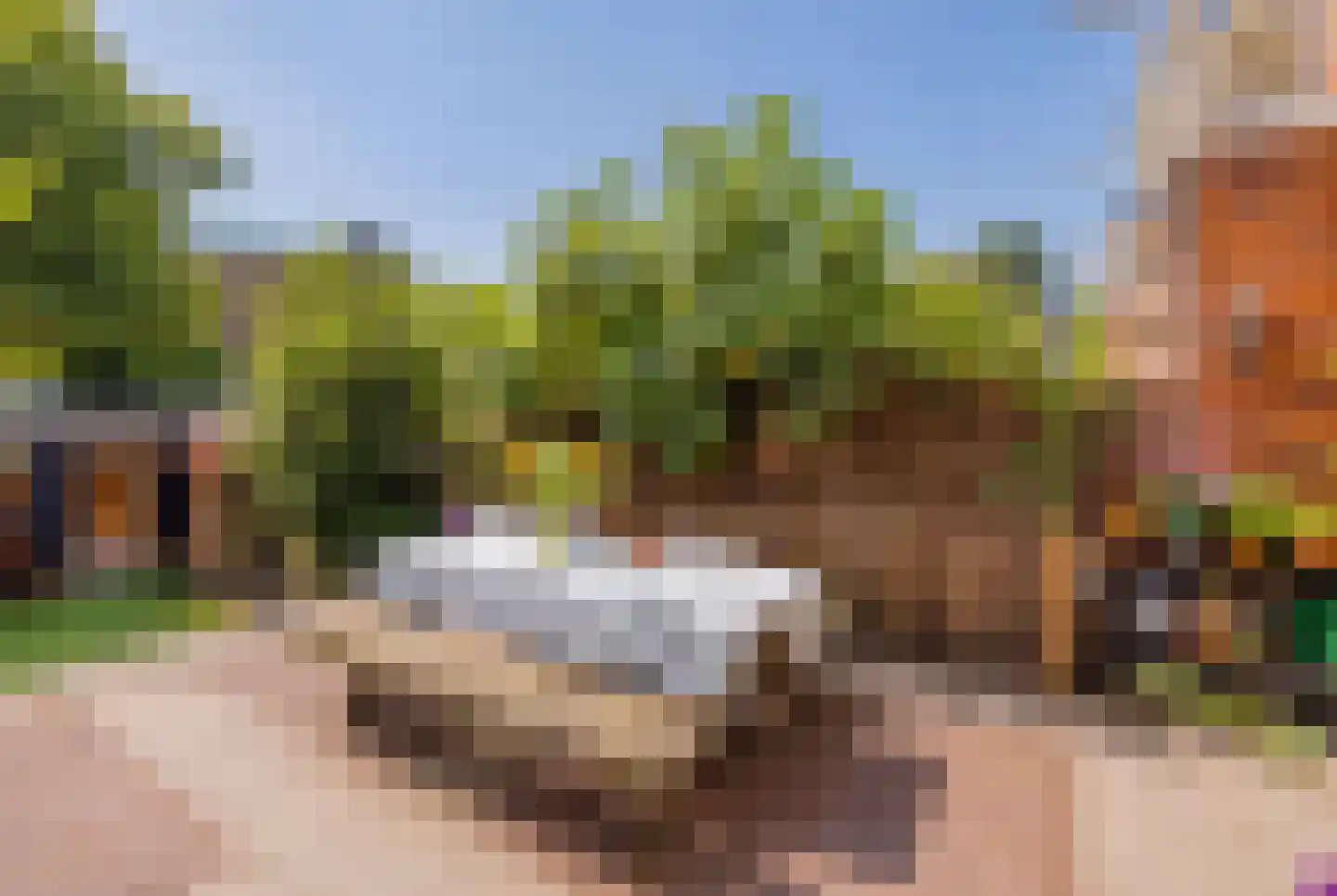 Wüstelaan 52 Santpoort-Zuid thumbnail 23