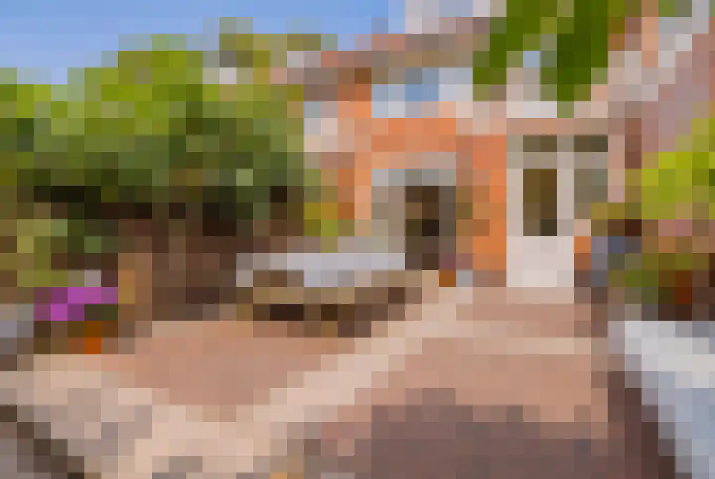 Wüstelaan 52 Santpoort-Zuid thumbnail 25